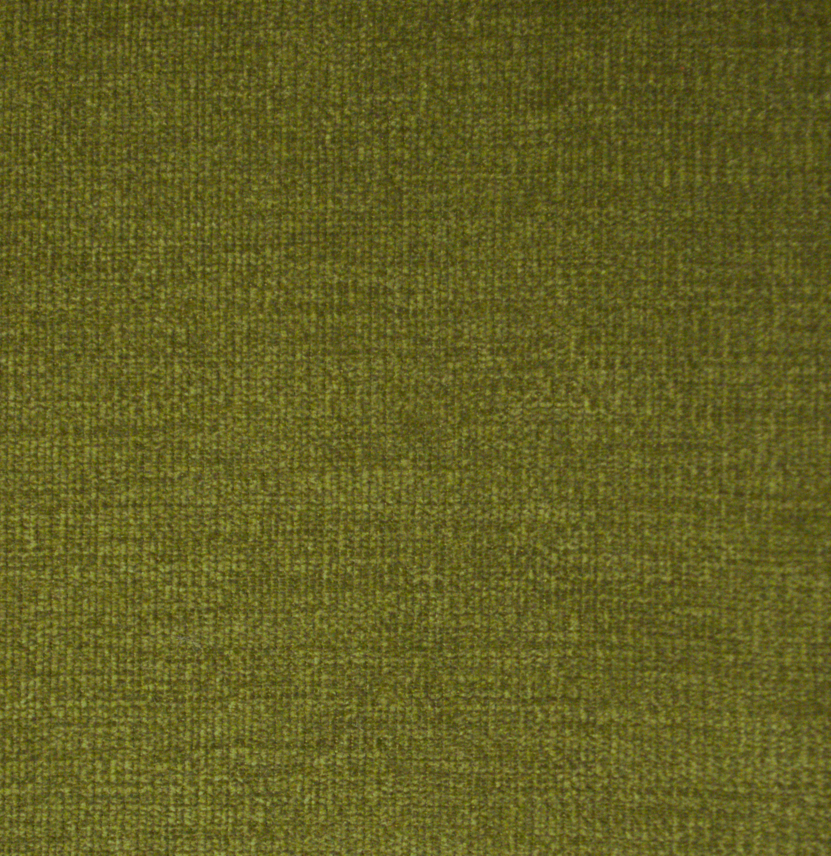 Pace Grass