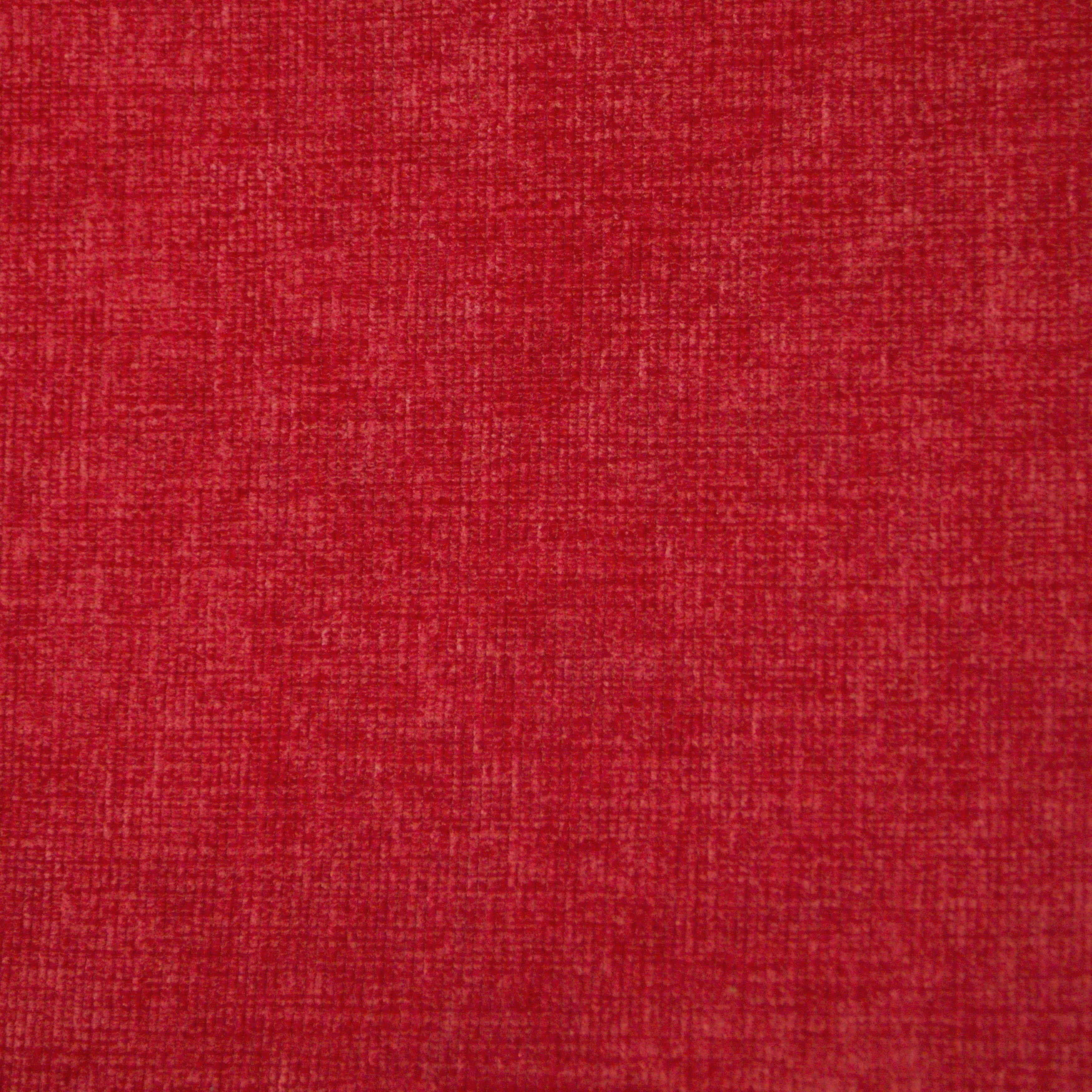 Pace Fuschia