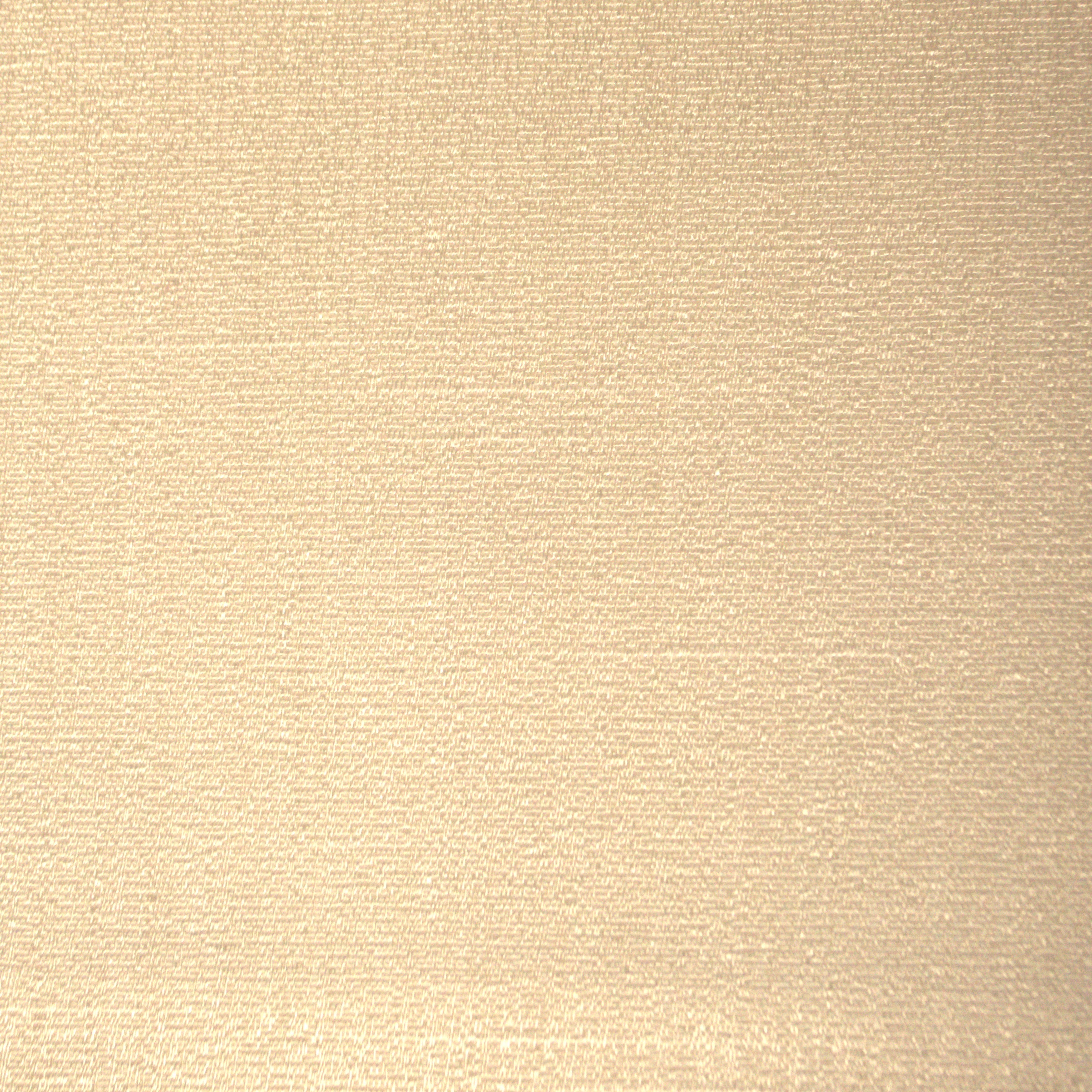 Divine Ivory