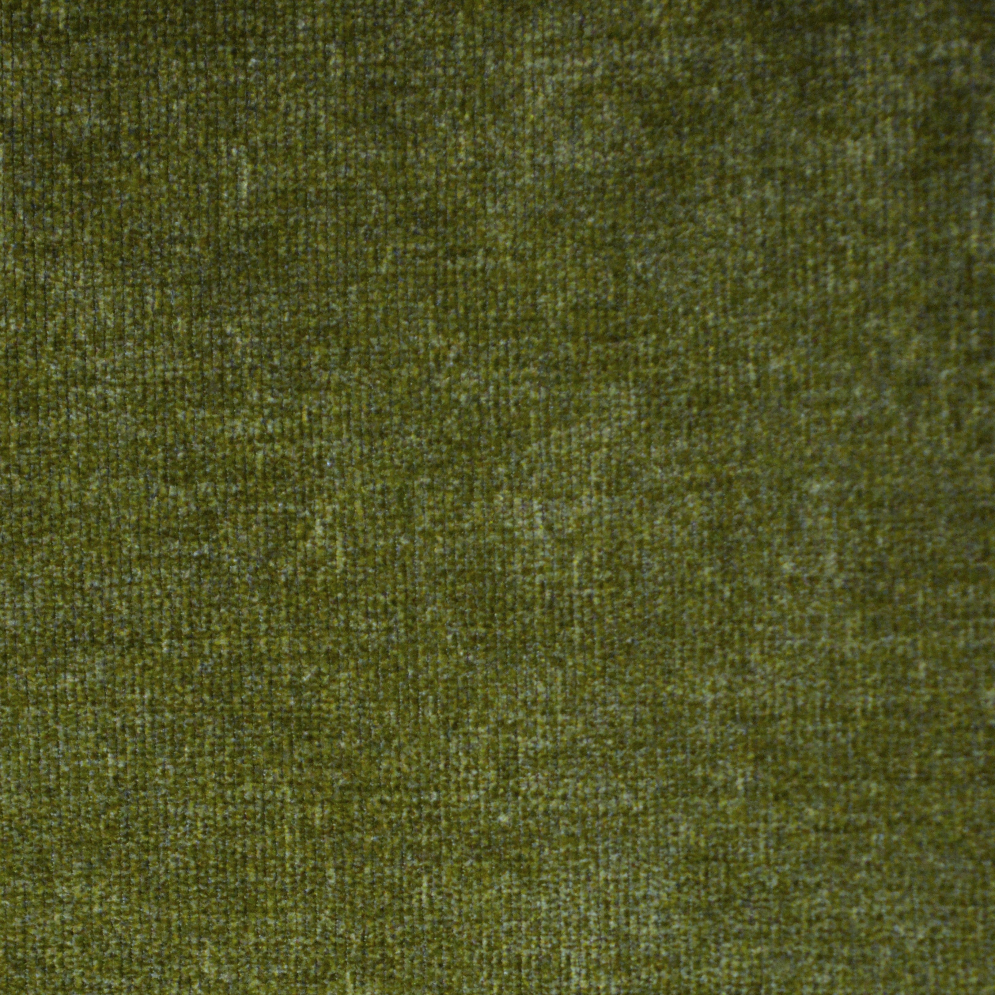 Pace Loden