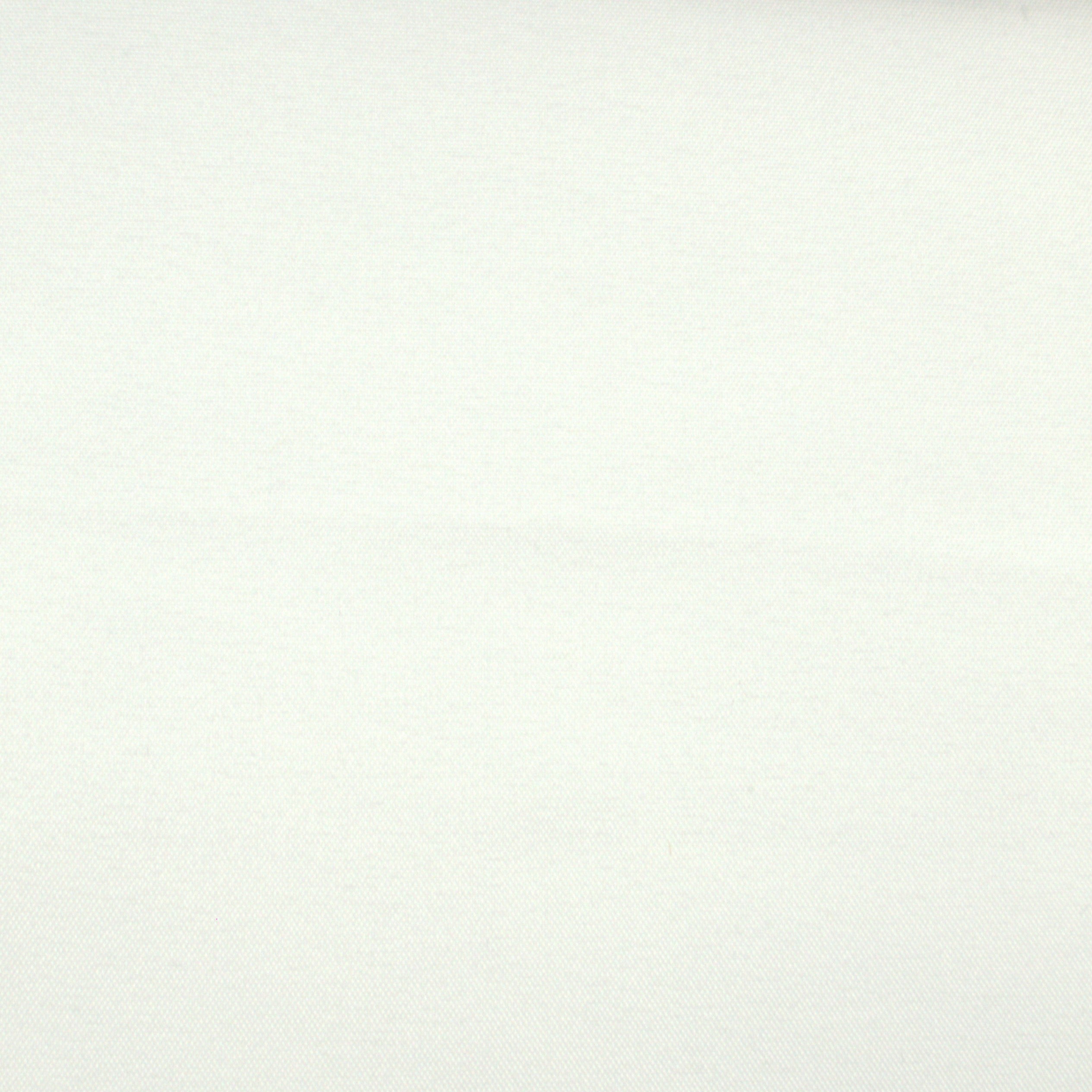 Revolution Ivory White