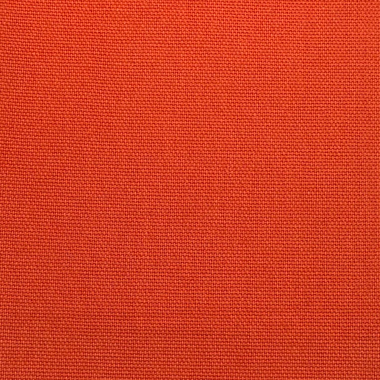 Karina Tangerine