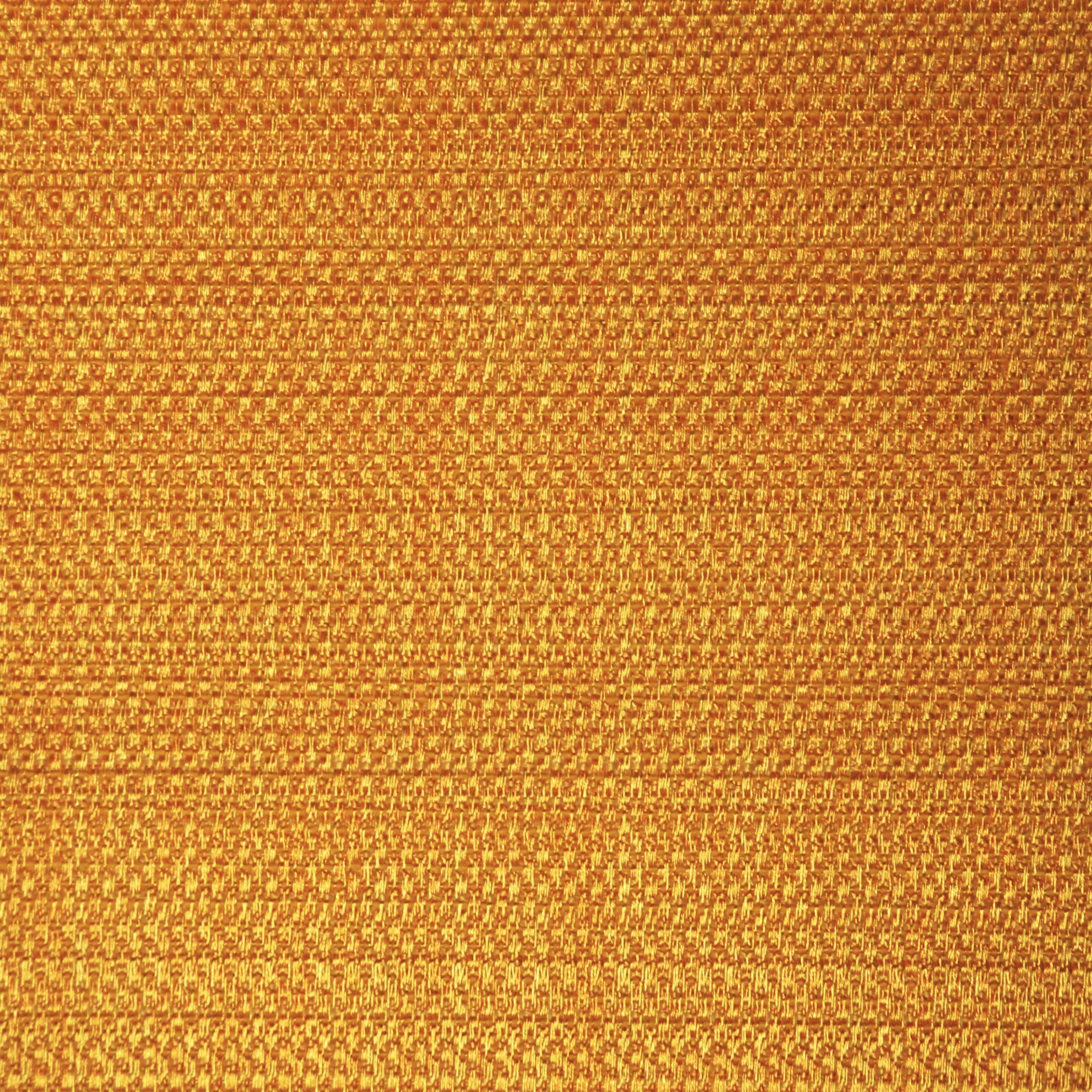 Dazzle Maize