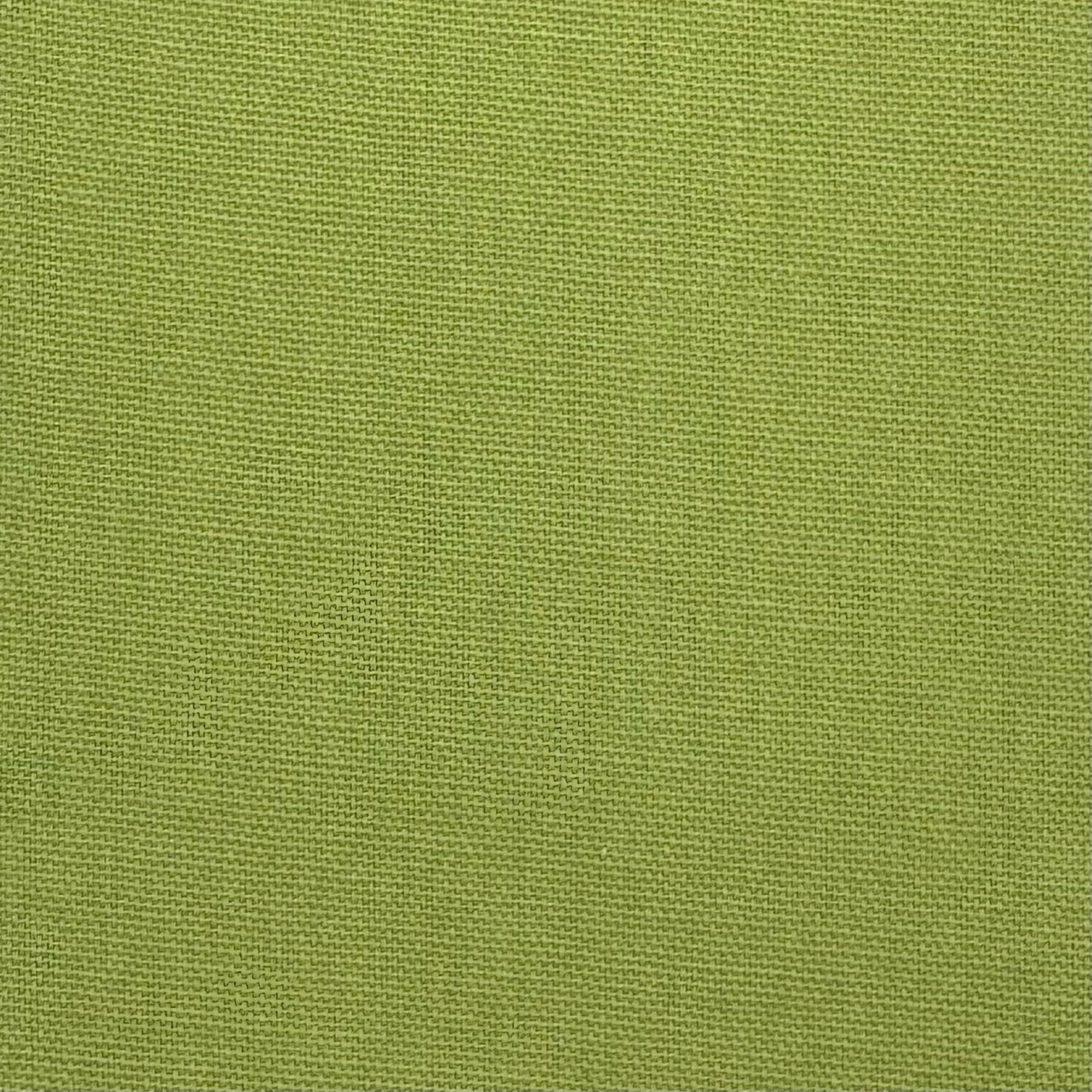 Karina Celery