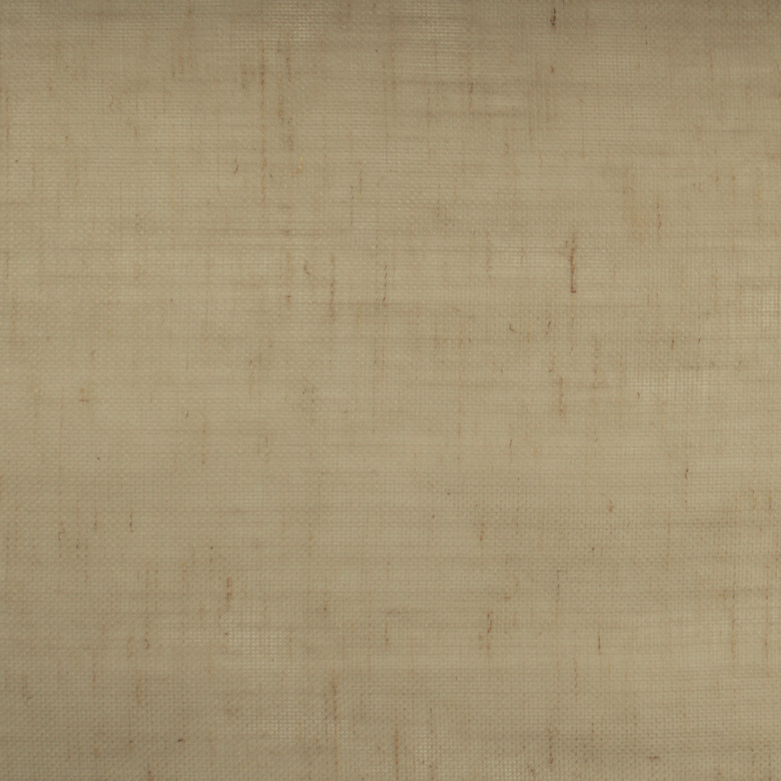 Conic Ivory