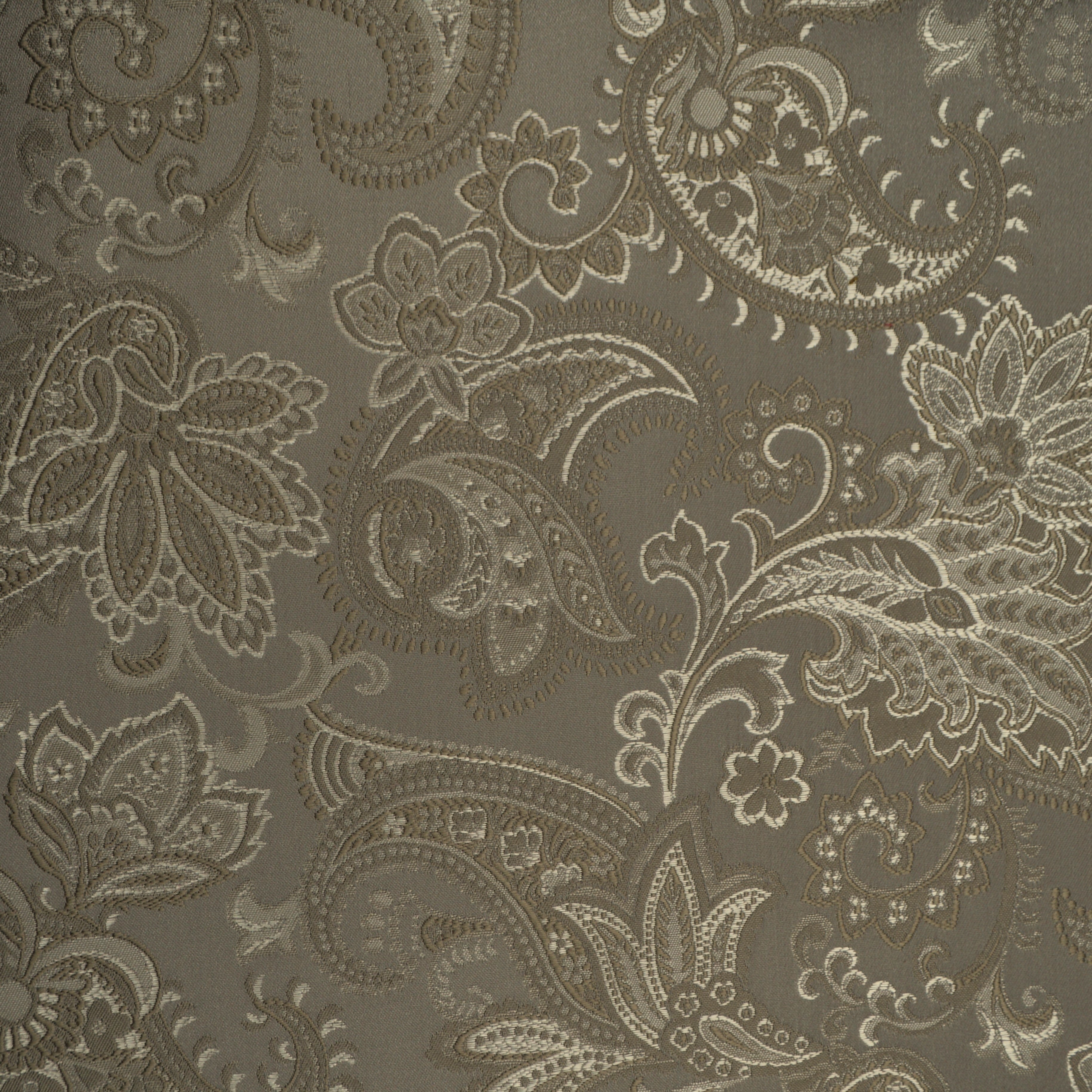Dumas Taupe