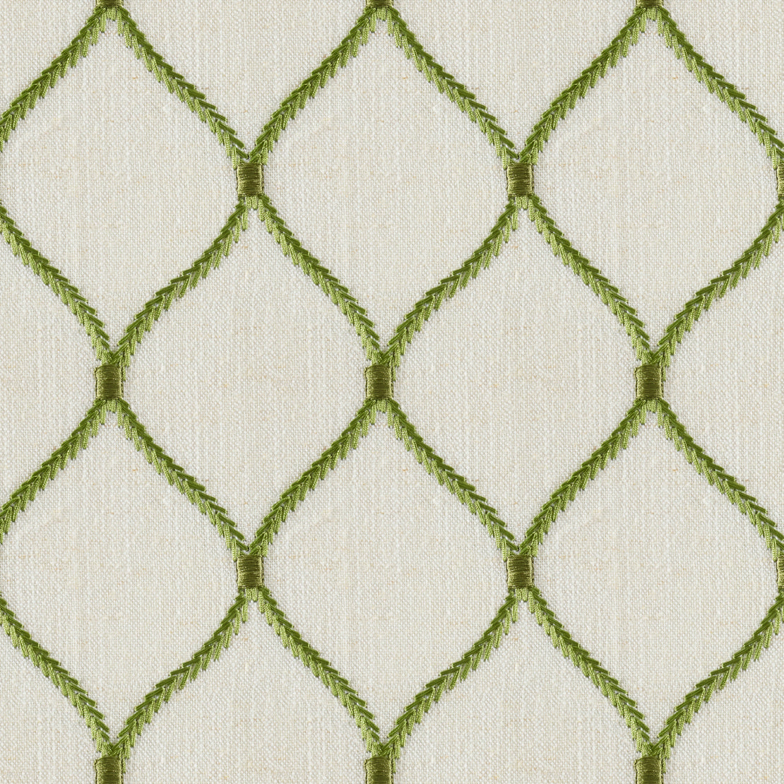 Plato Jovial Elm