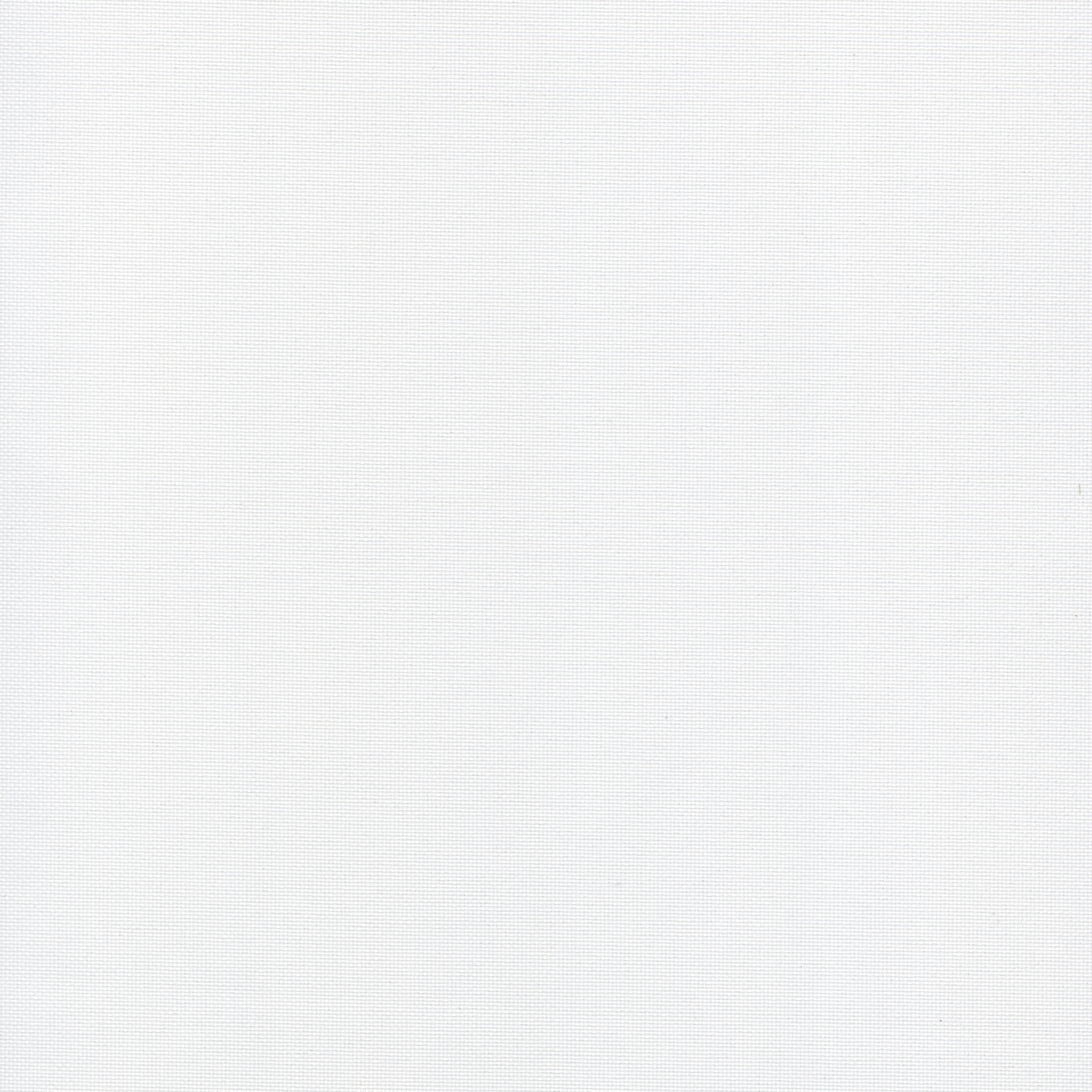 Nebula-White