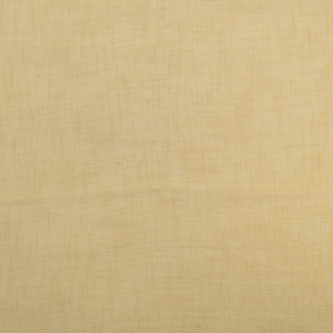 Noosa Latte