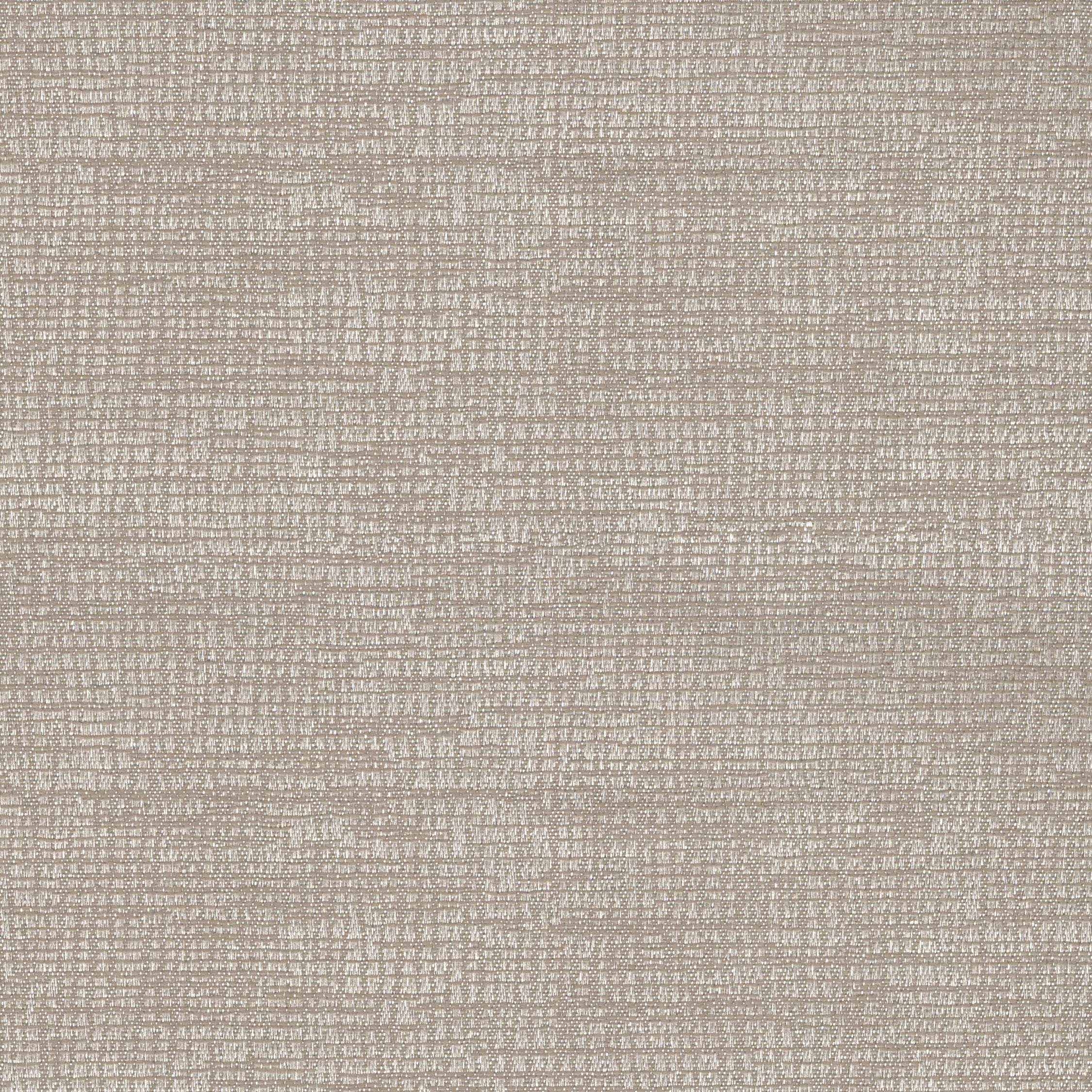Penumbra Oyster