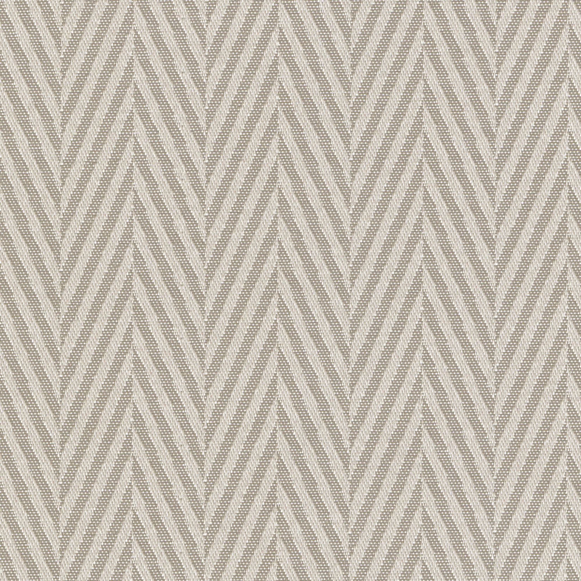Prosaic Oyster