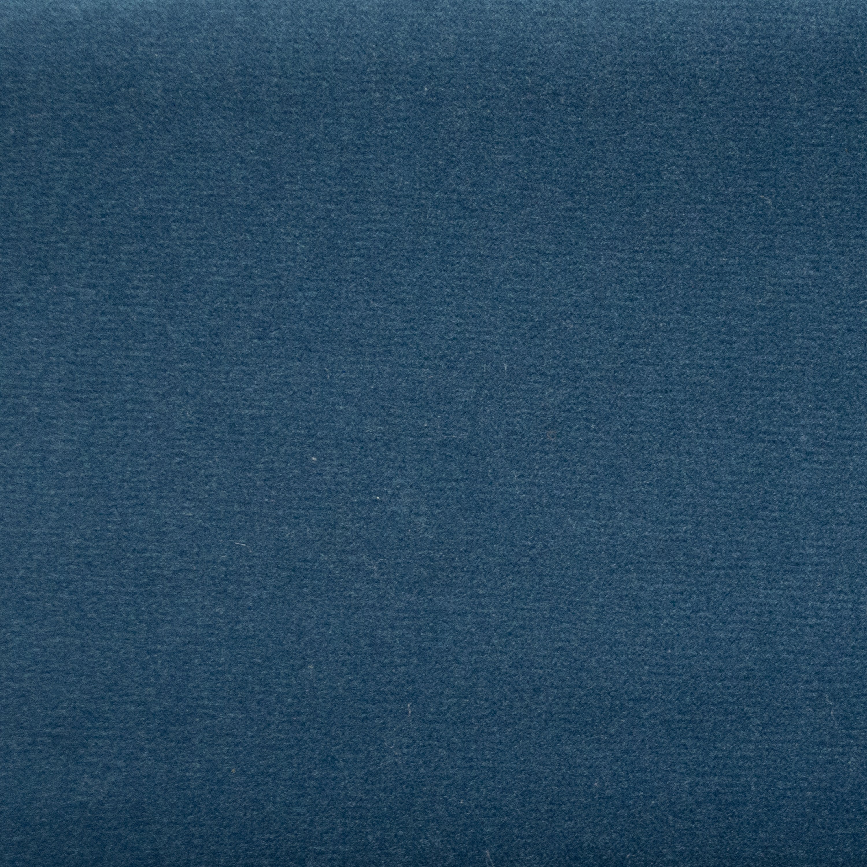 Sahara Blueberry