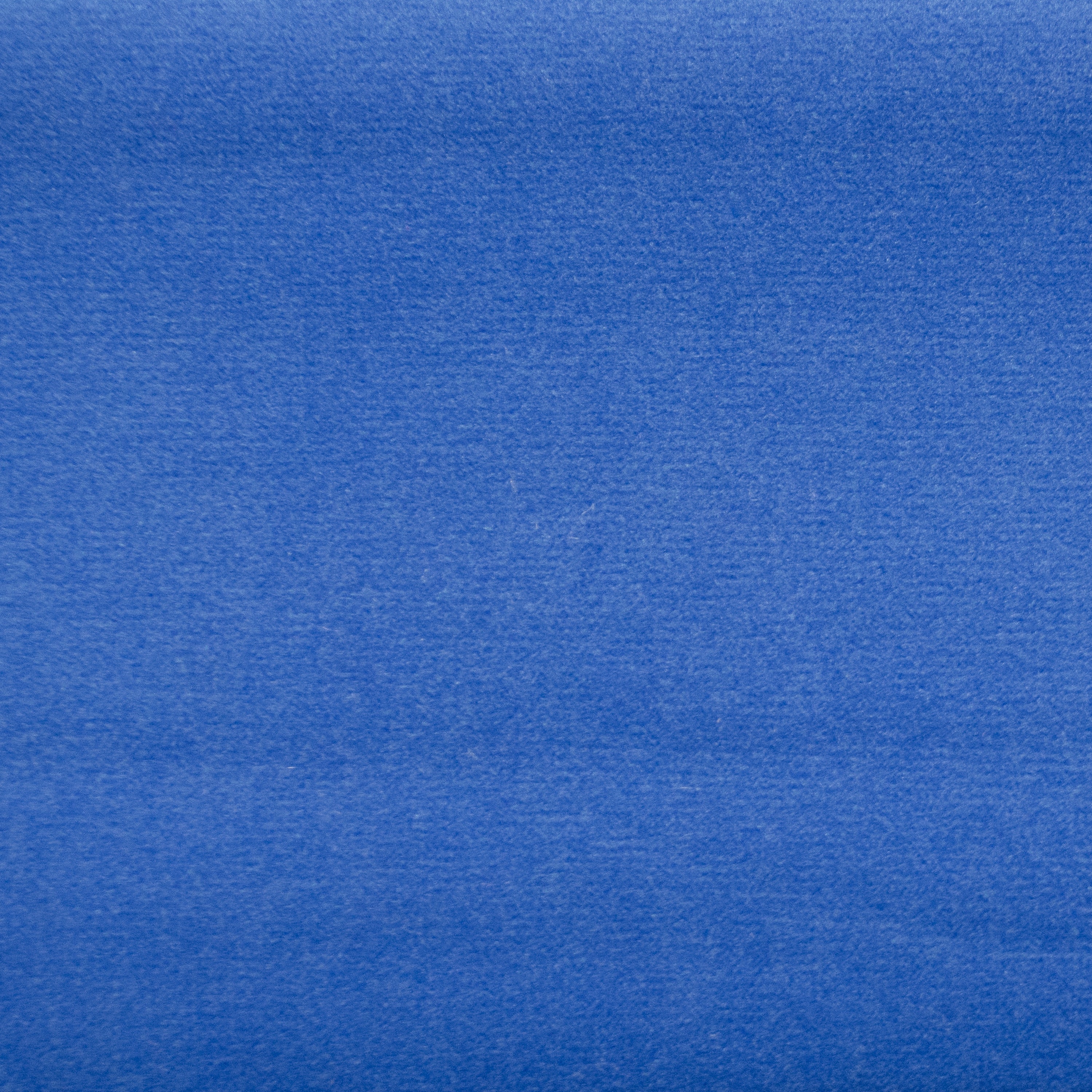 Sahara Bluebird