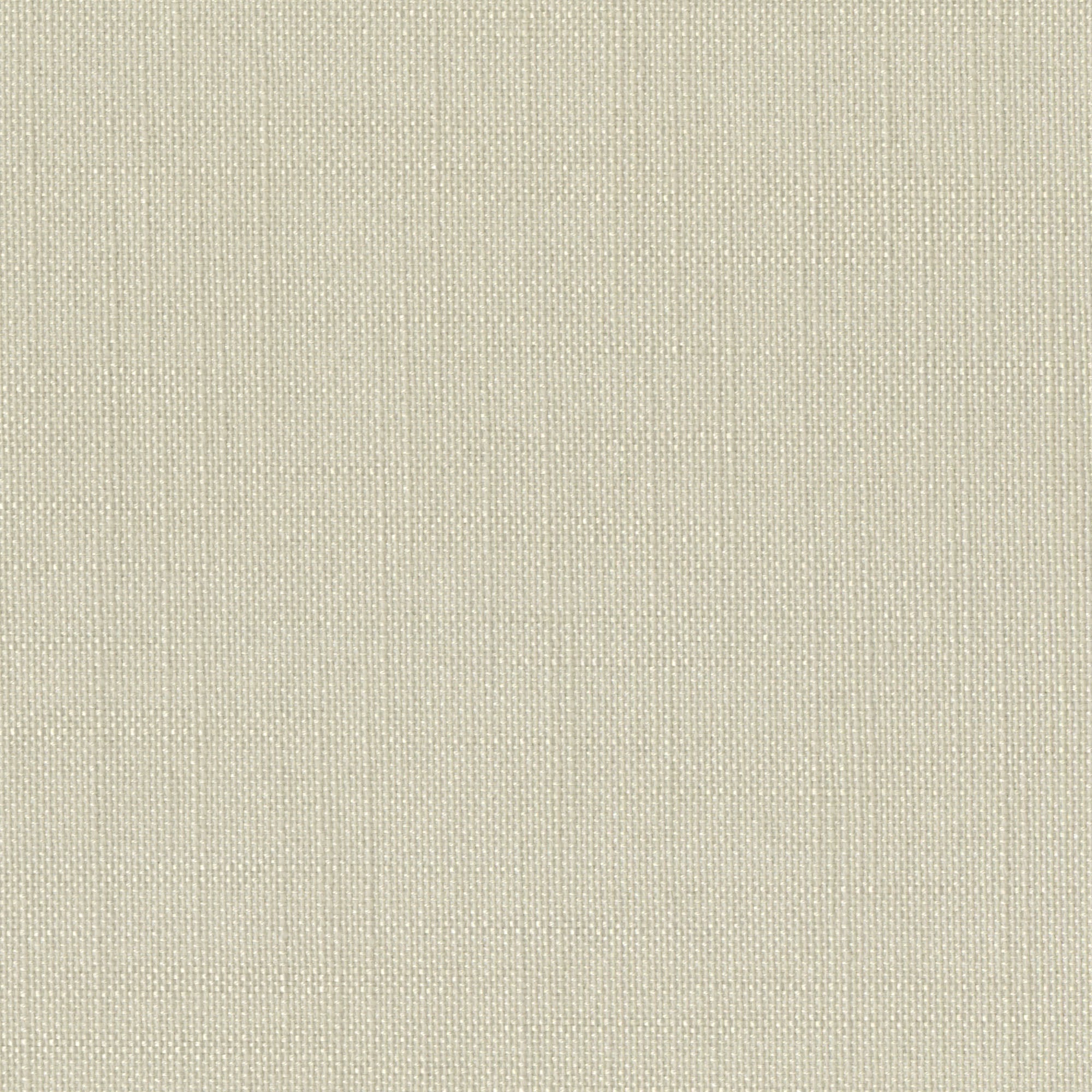 Sooty Parchment