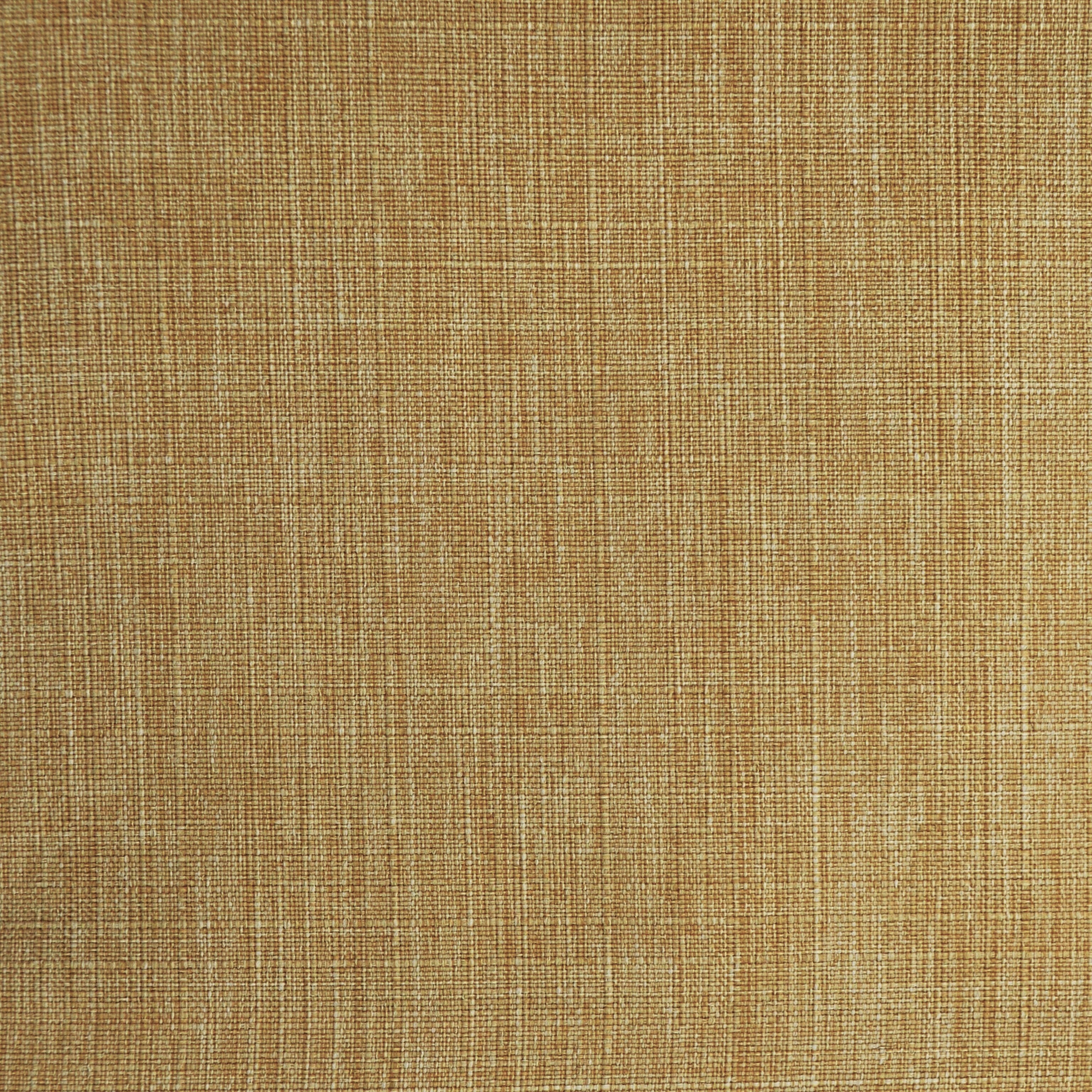 Rio Canvas