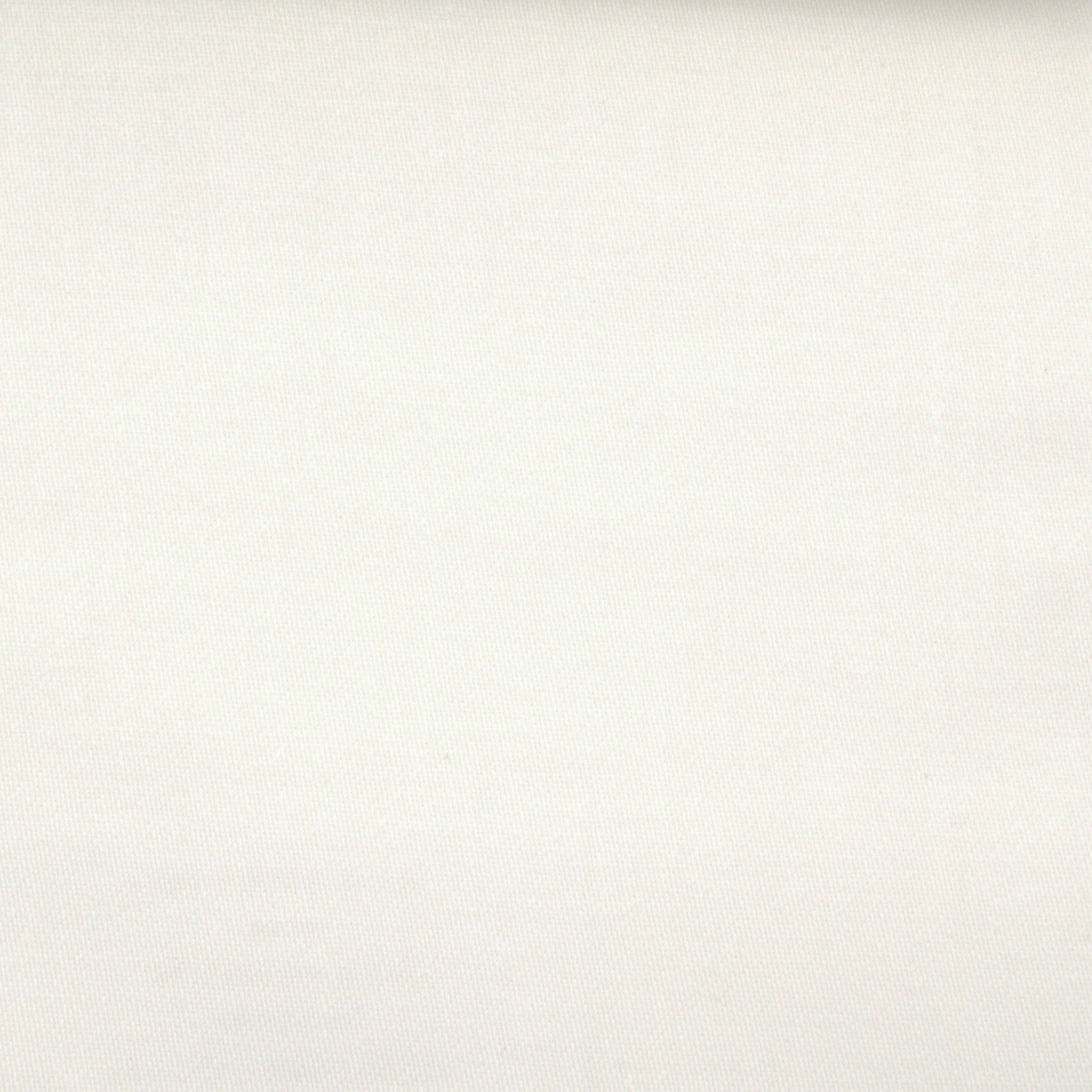 Manchester White