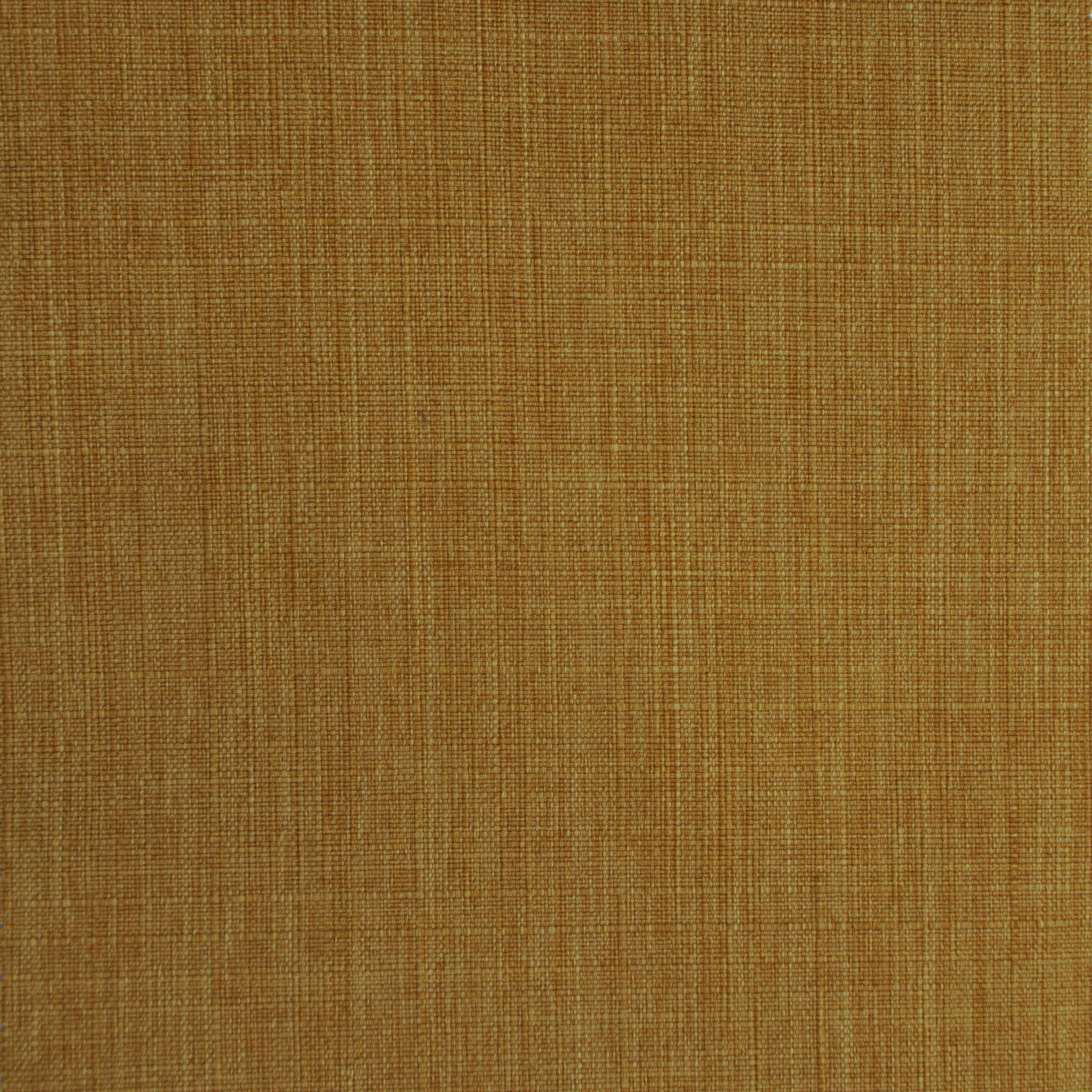 Rio Mustard