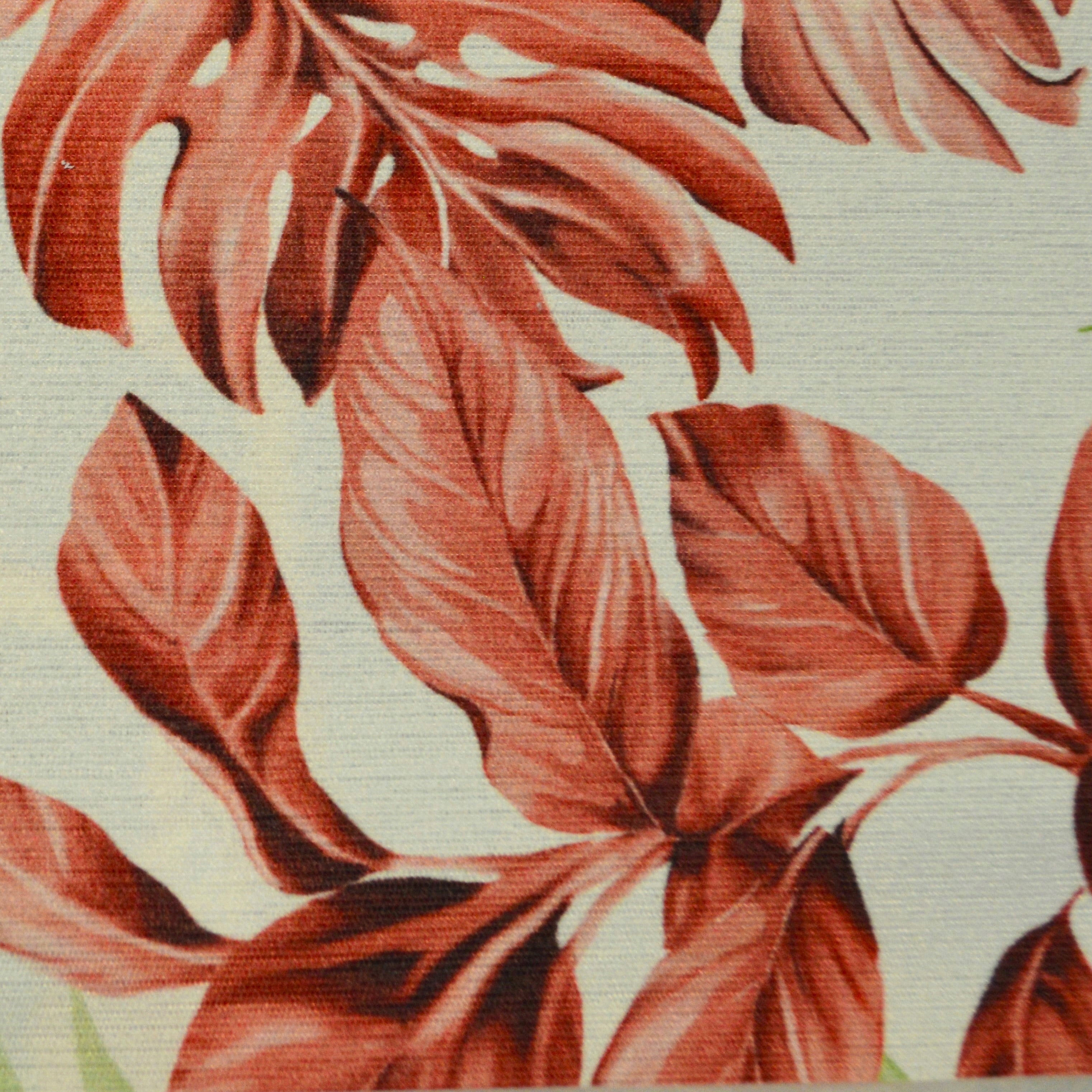 Nassau Color 52