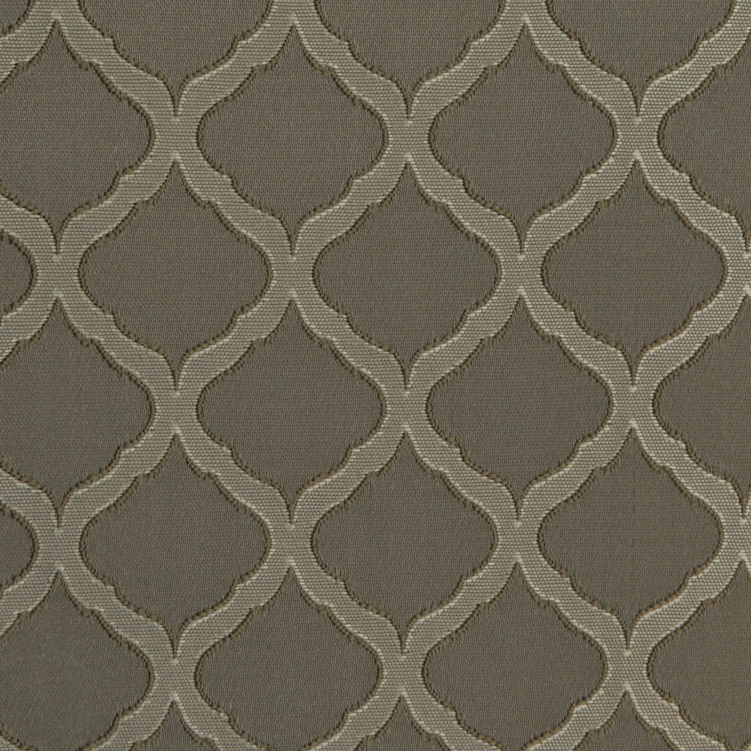 Austen Taupe